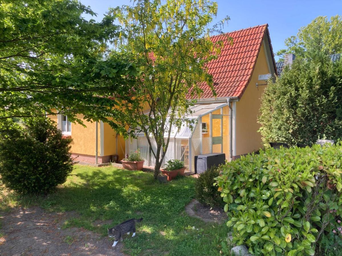 Ferienhaus -Villa Huehnerstall- Hessenburg Exterior foto